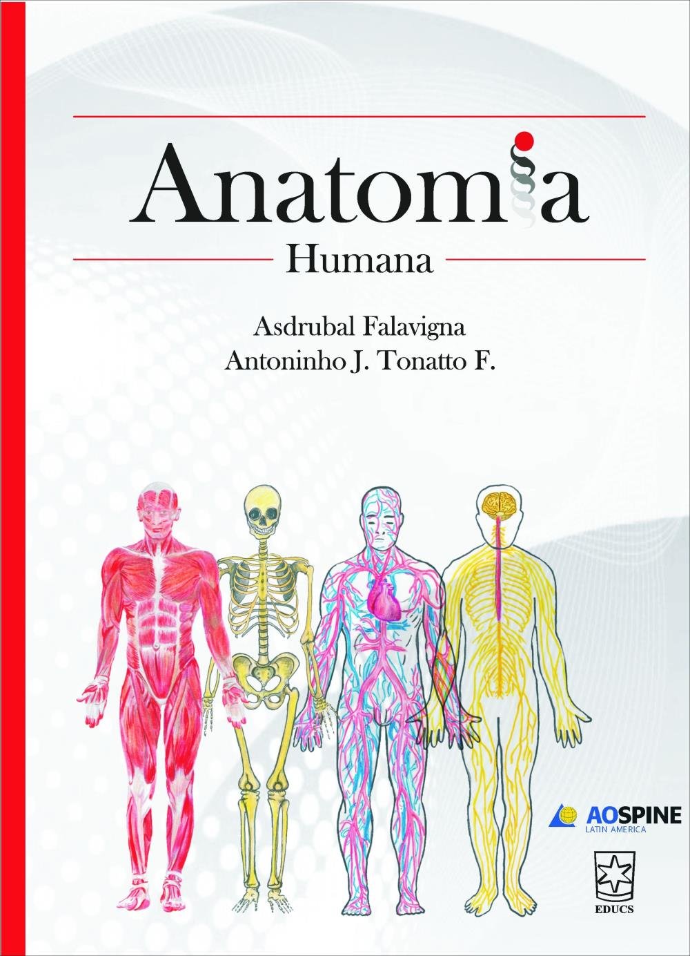 Livro Anatomia Humana Van De Graaff Portugues